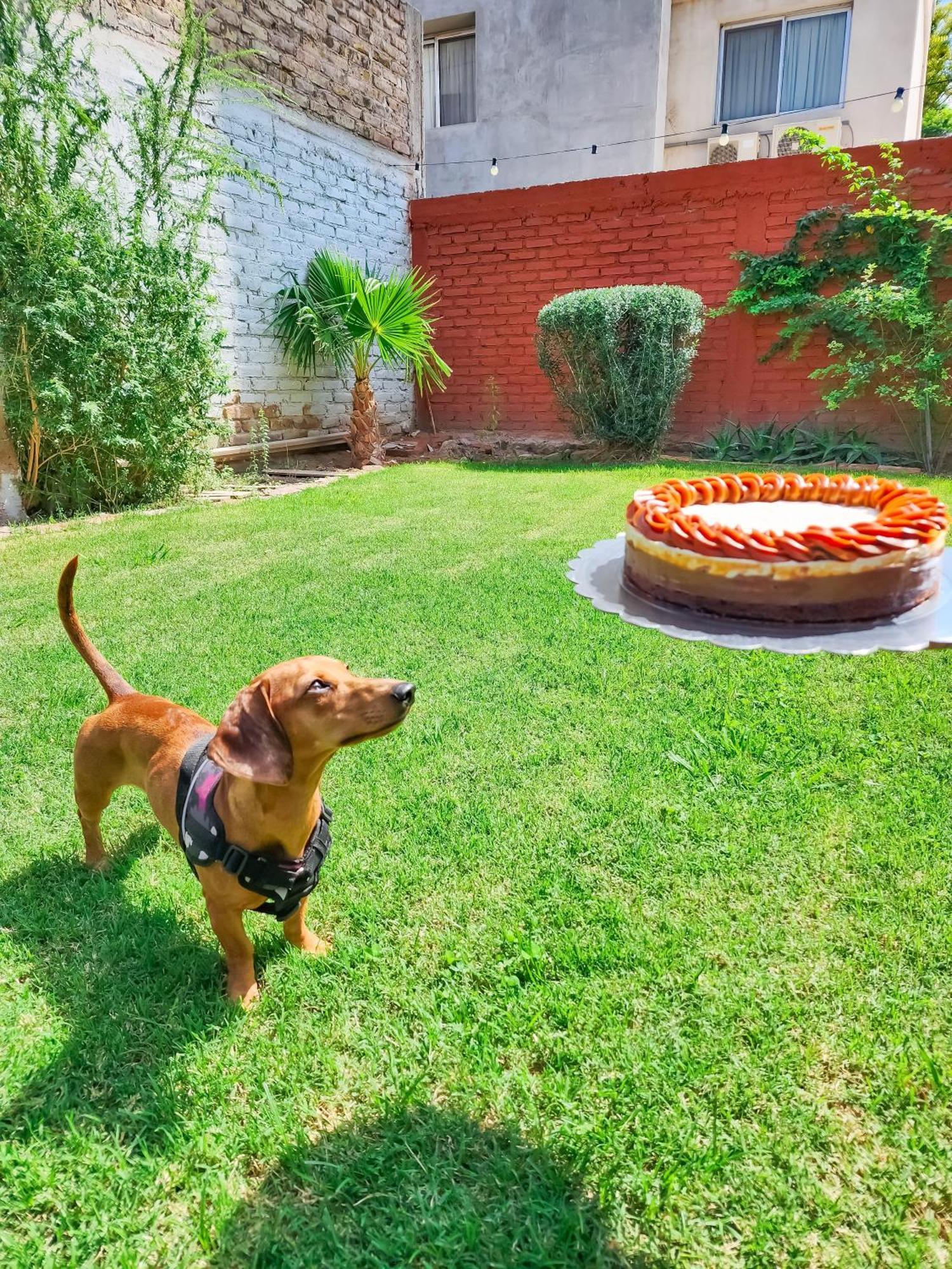 Juan B Justo Garden 2* Mendoza