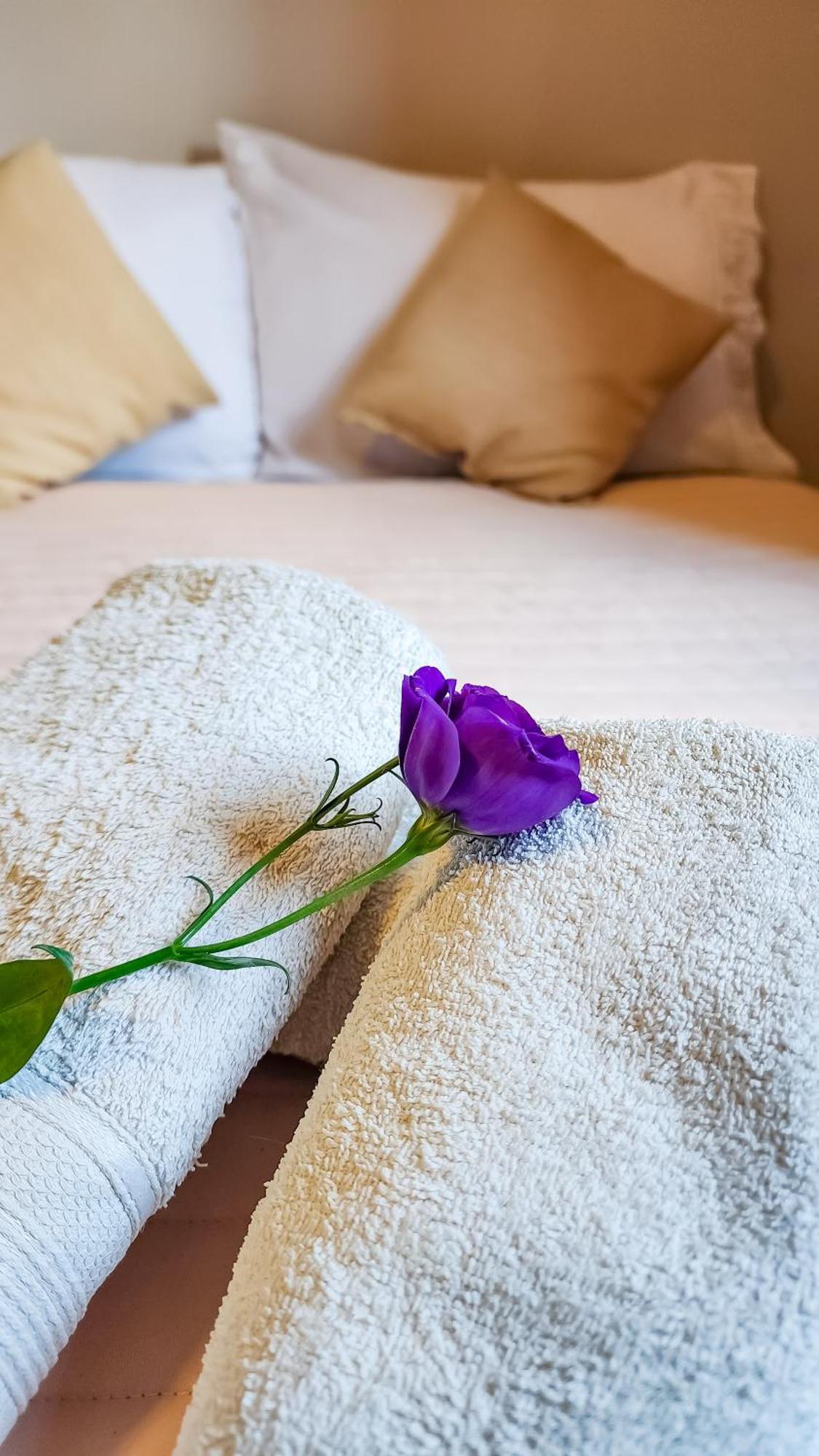 Hotel Juan B Justo Garden Mendoza